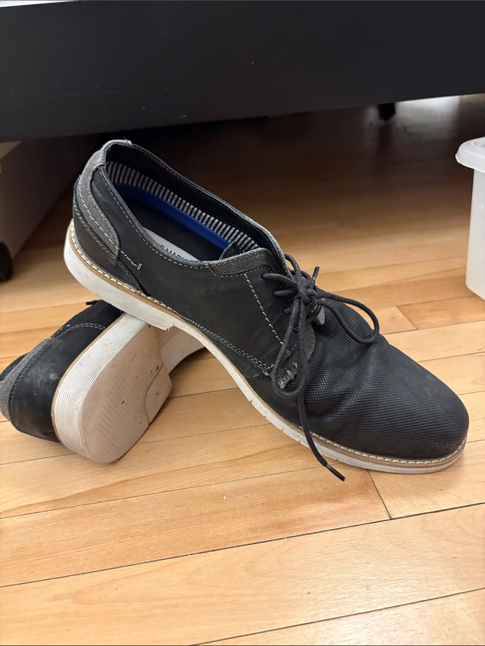 Steve Madden Black Lace-Up Oxford with White Sole